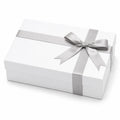 Boîte cadeau 30 x 22 x 10 cm en carton blanc et argenté avec ruban satiné